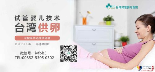 做试管捐卵公司